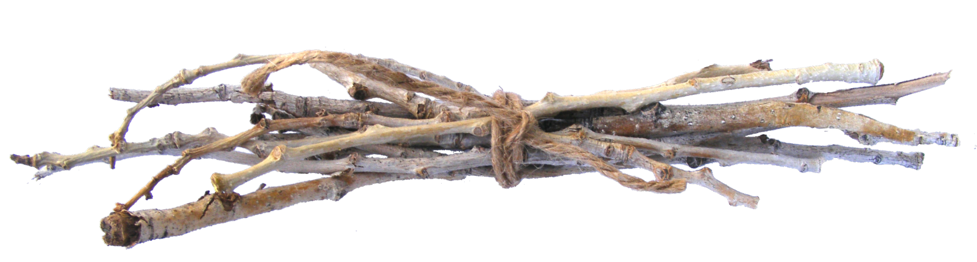 stick clipart twig