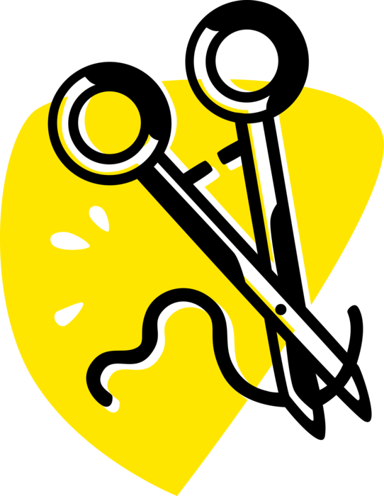 Stitch clipart suture, Stitch suture Transparent FREE for download on