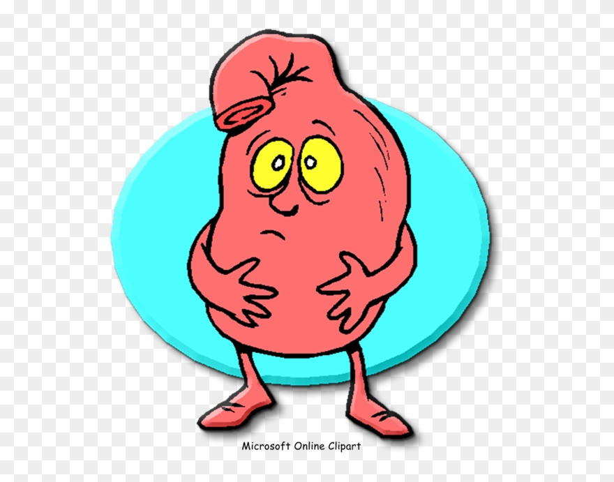 stomach clipart indigestion