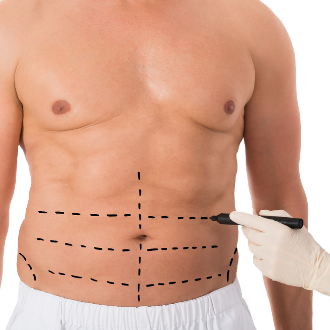 stomach clipart male chest
