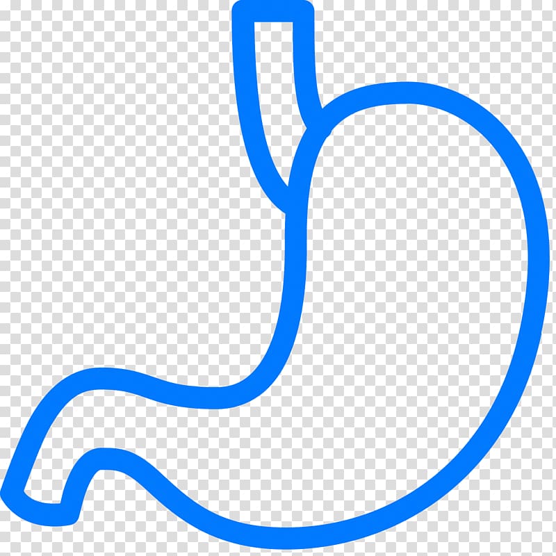 stomach clipart stomach intestine