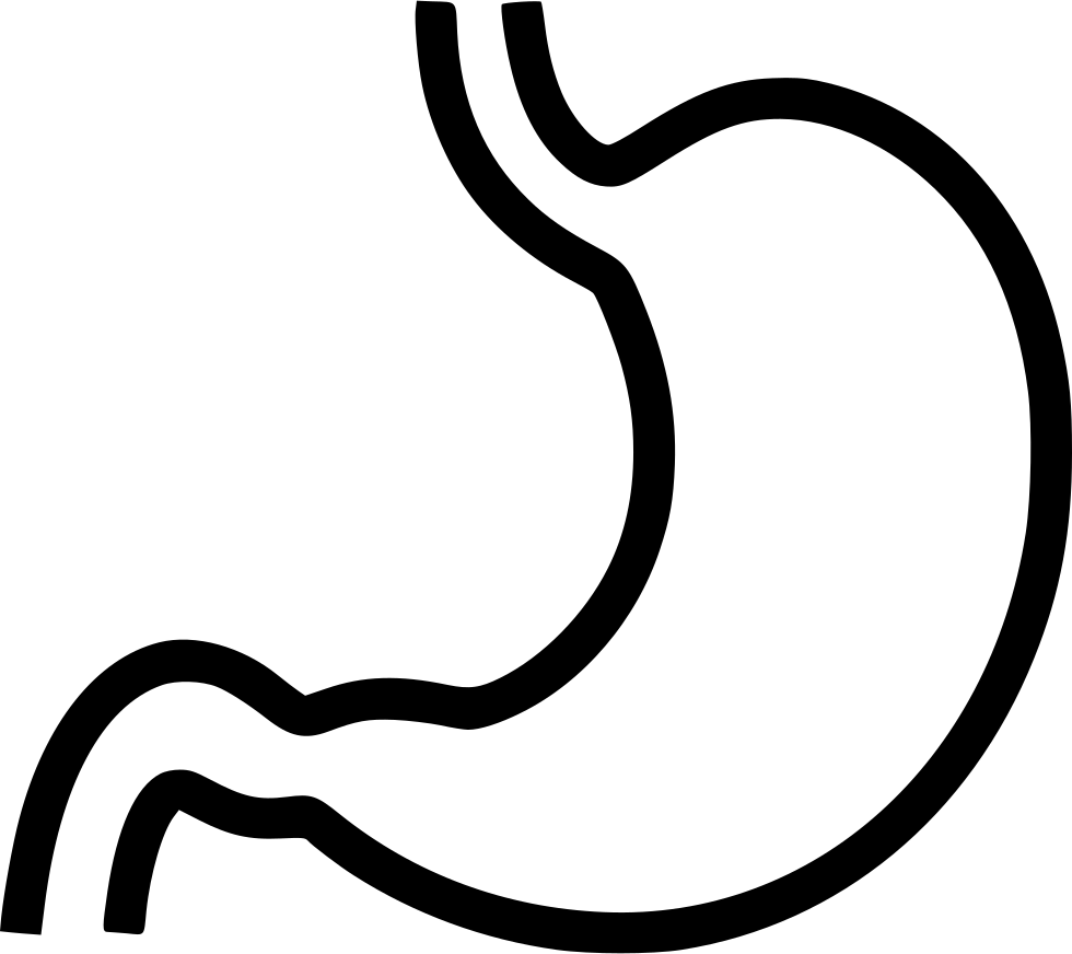 stomach clipart stomach line