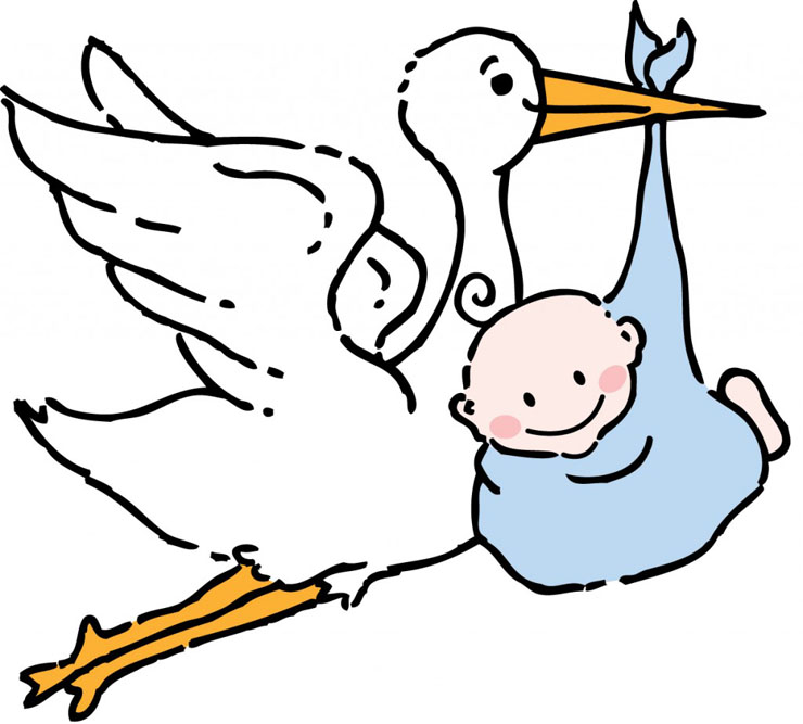Free pictures download clip. Stork clipart baby arrival
