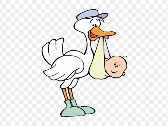 Stork clipart baby arrival. Free download clip art