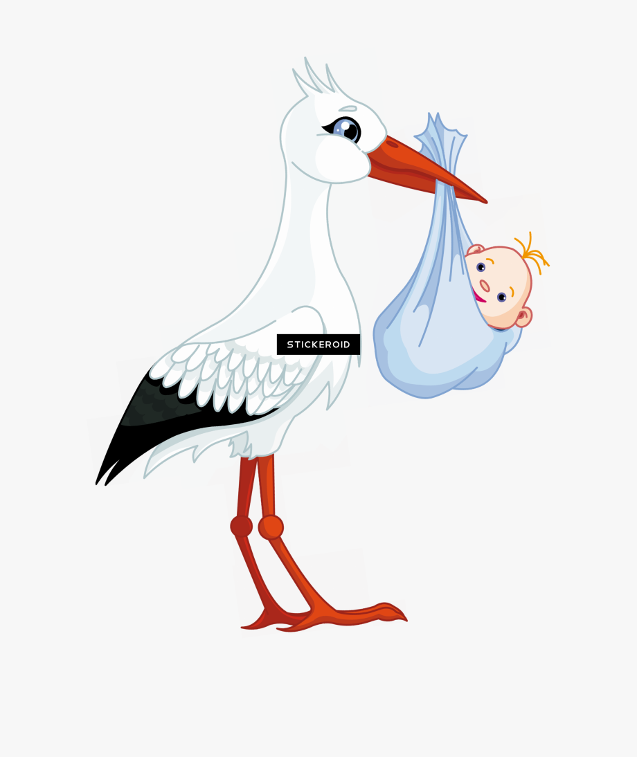 stork clipart baby boom
