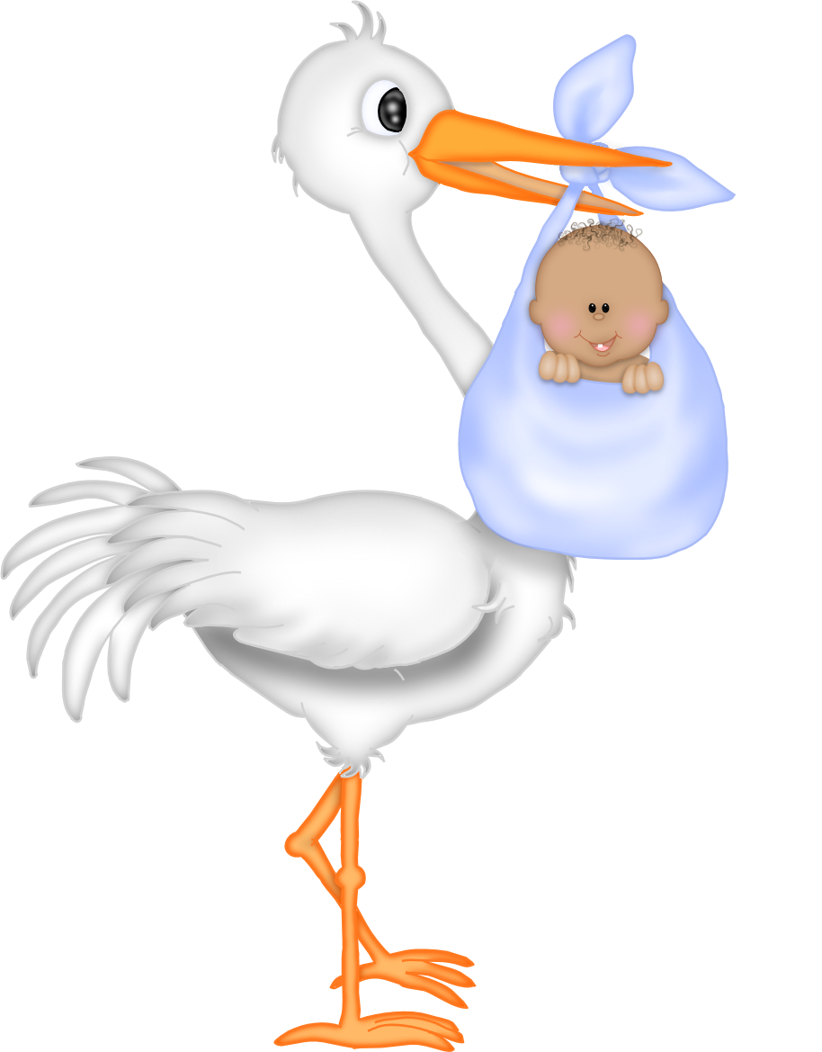 twins clipart stork