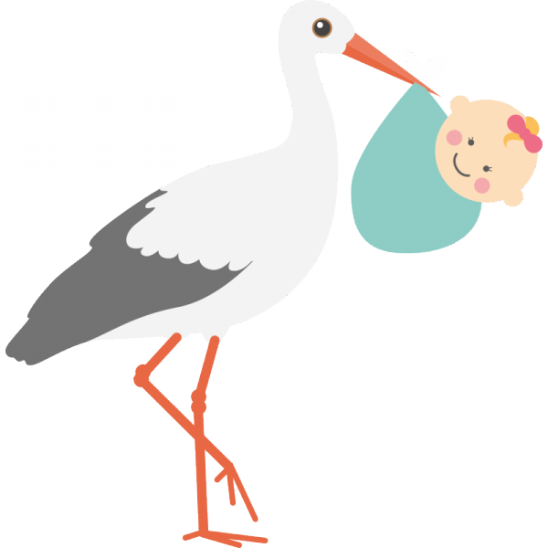 stork clipart baby delivery