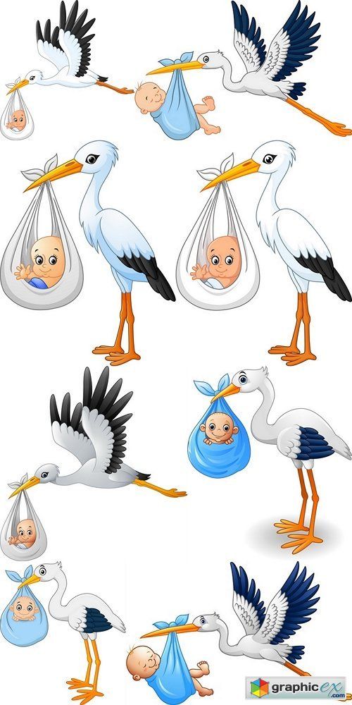 stork clipart baby drawing