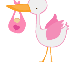 stork clipart baby girl