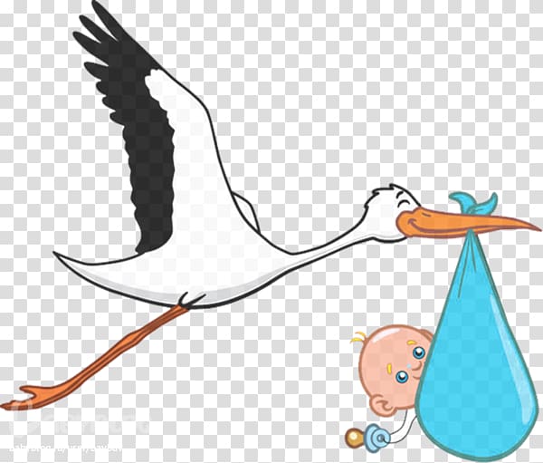 stork clipart baby illustration
