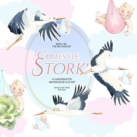 stork clipart baby illustration