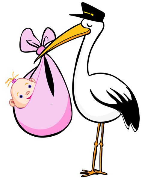 stork clipart baby news