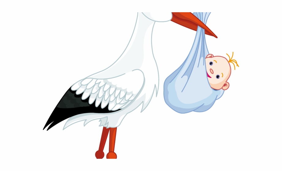 stork clipart baby transparent background
