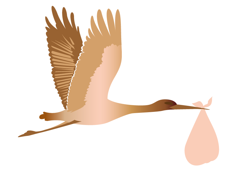 stork clipart child birth