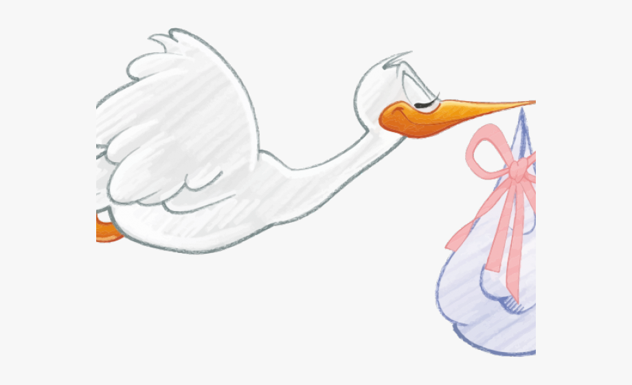 Stork clipart child birth. Baby stuff png bocian