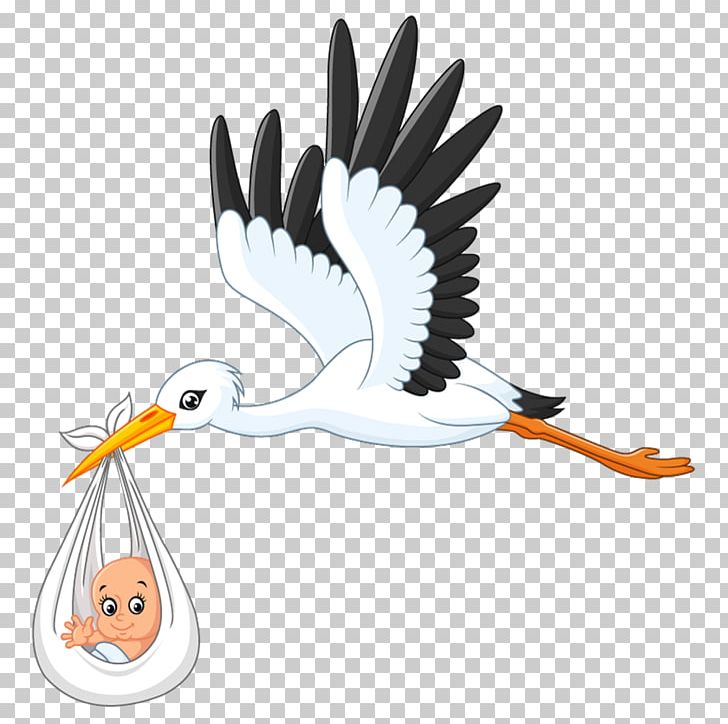 Stork clipart child birth. White infant png baby