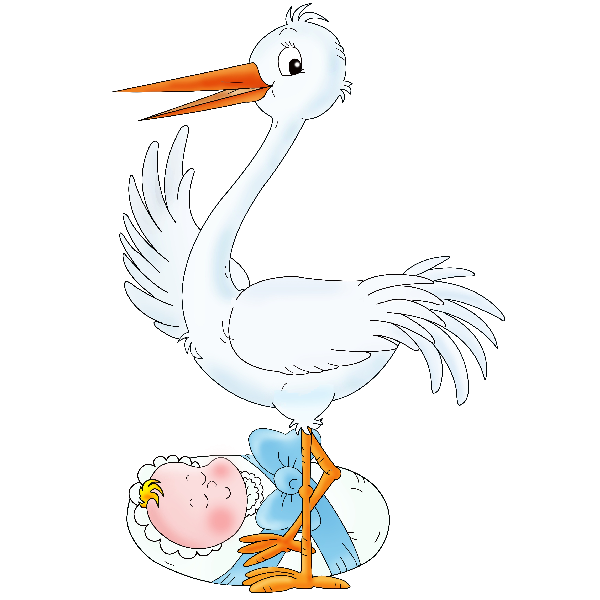 Carrying baby boy cartoon. Stork clipart flying