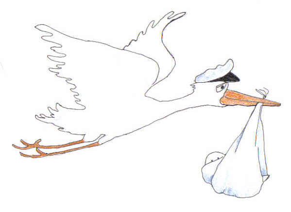 Free download clip art. Stork clipart flying