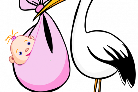 stork clipart pink stork