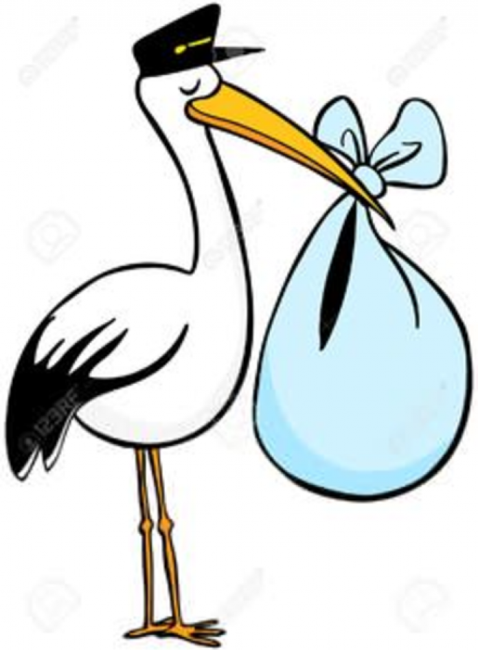 stork clipart pregnancy labor