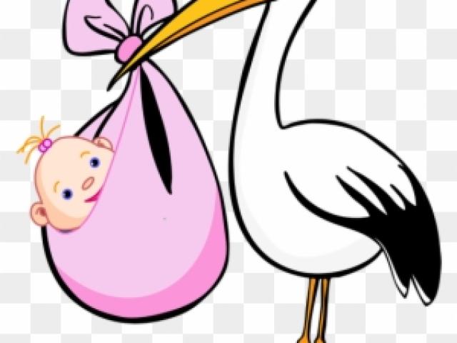 stork clipart pregnancy labor