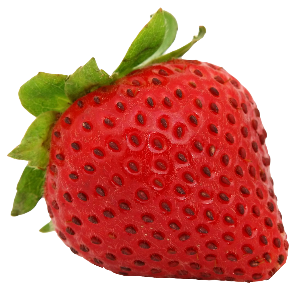 strawberries clipart bowl