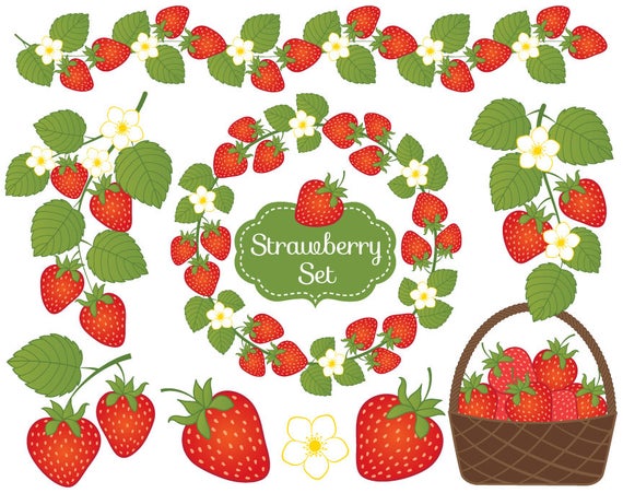 Strawberry vector berry clip. Strawberries clipart cool