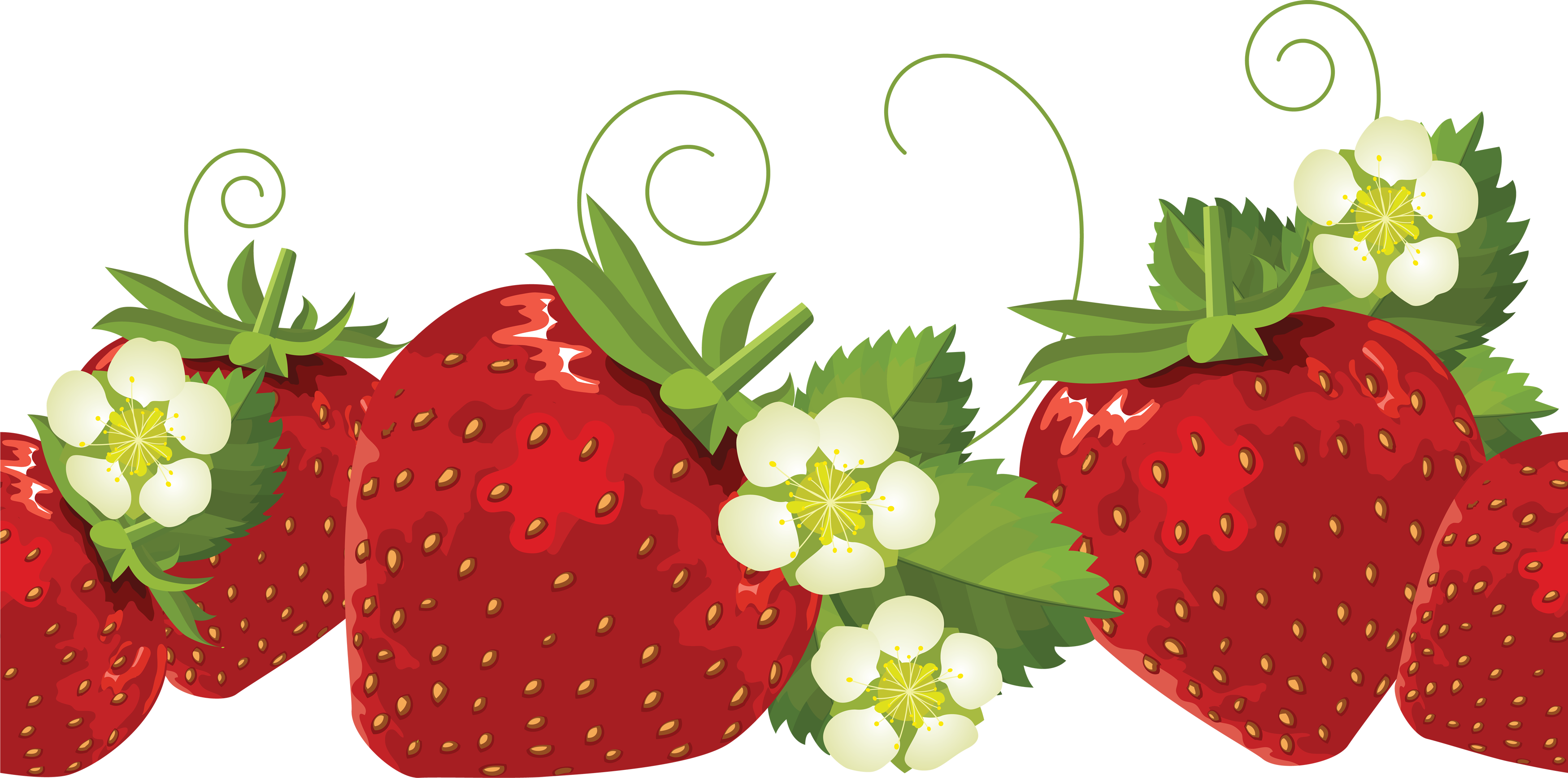 strawberries clipart happy