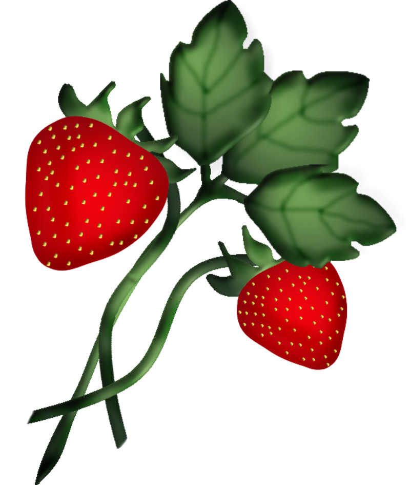 strawberries clipart healthy fruit