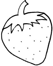 strawberries clipart outline