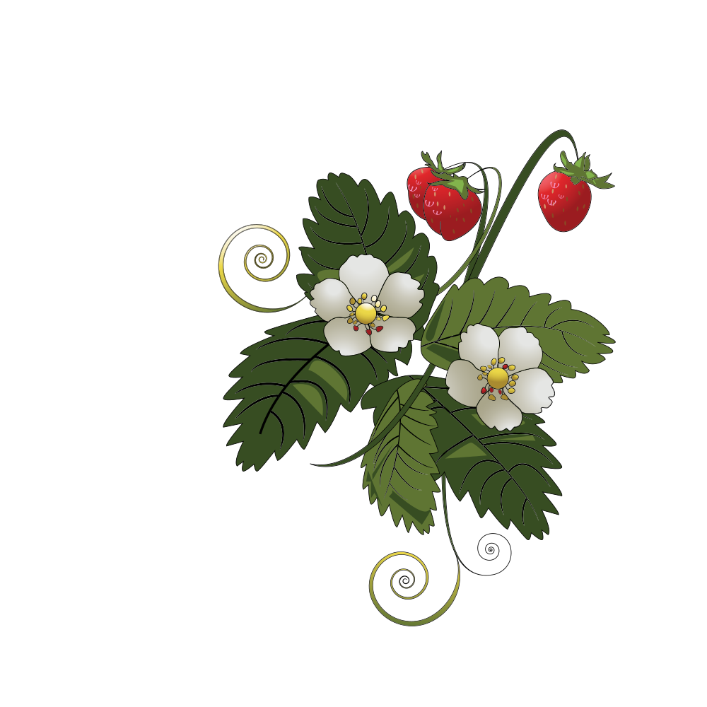 strawberries clipart simple strawberry
