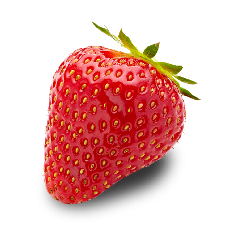 strawberries clipart single