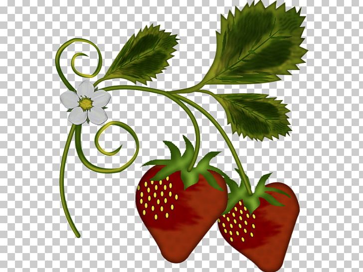 strawberries clipart strawberry tree
