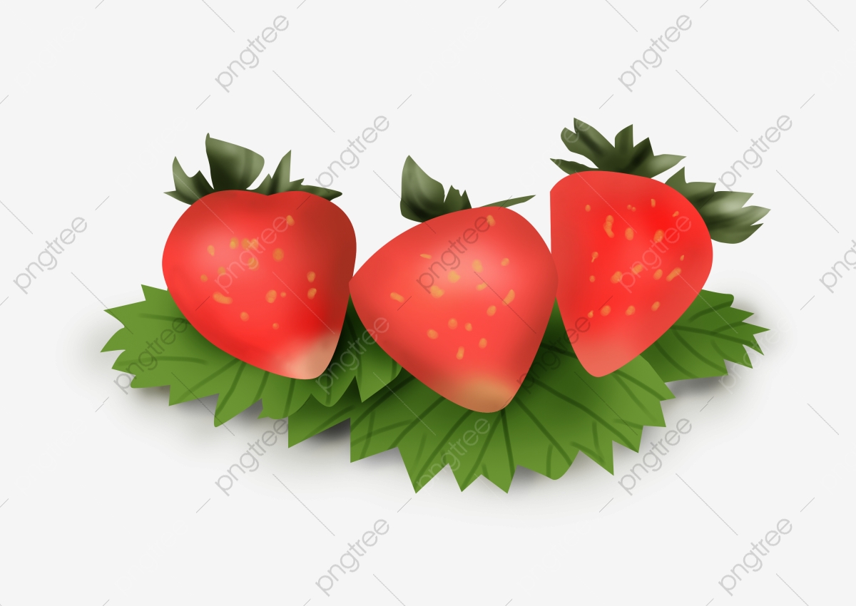 strawberries clipart strawberry tree
