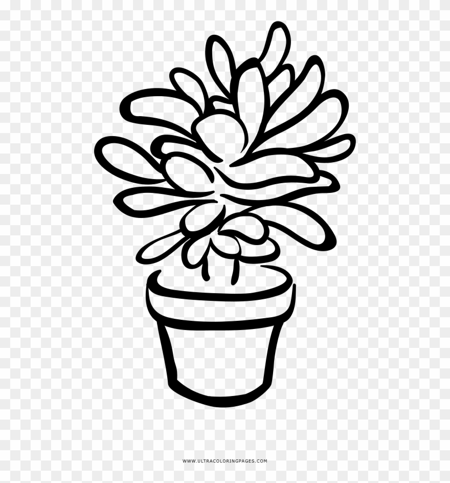 succulent clipart black and white