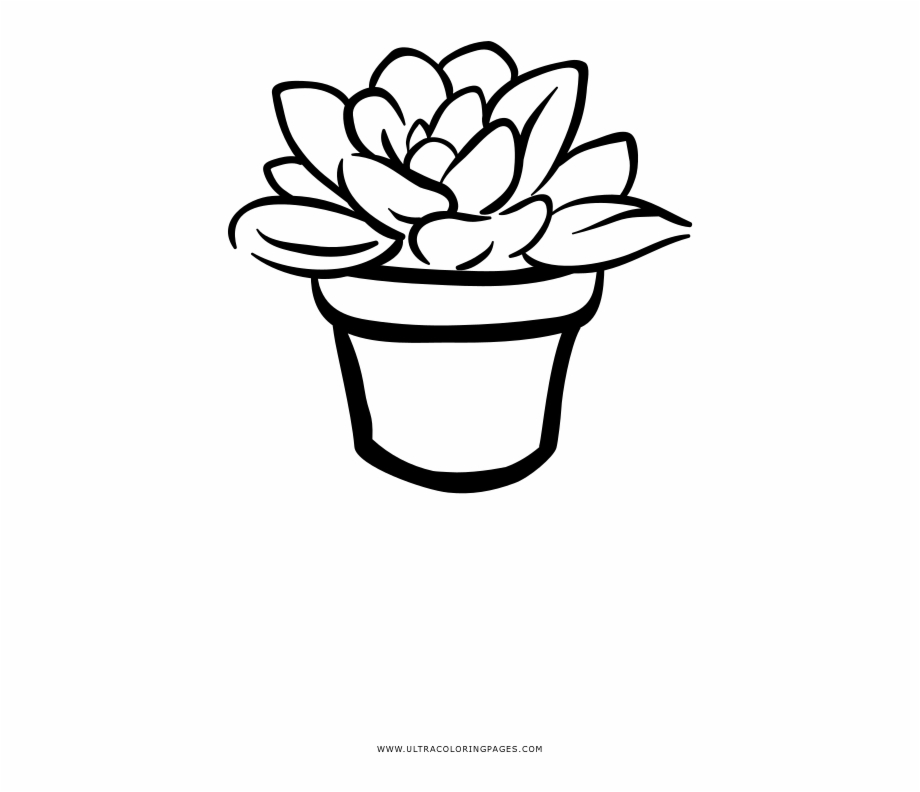 Succulent clipart black and white, Succulent black and white