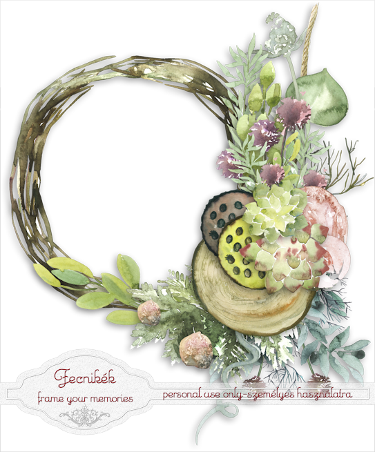 succulent clipart bohemian