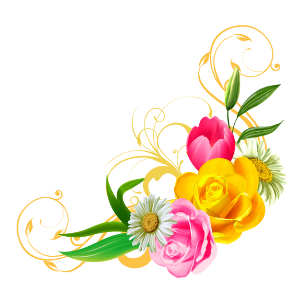 succulent clipart bohemian