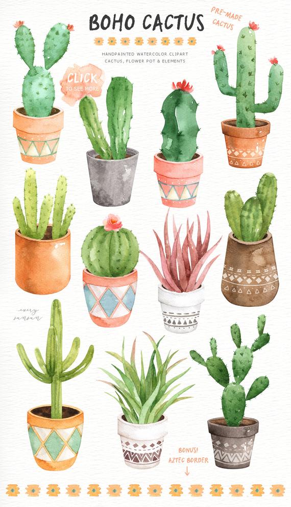 Succulent clipart botanical. Pin on products 