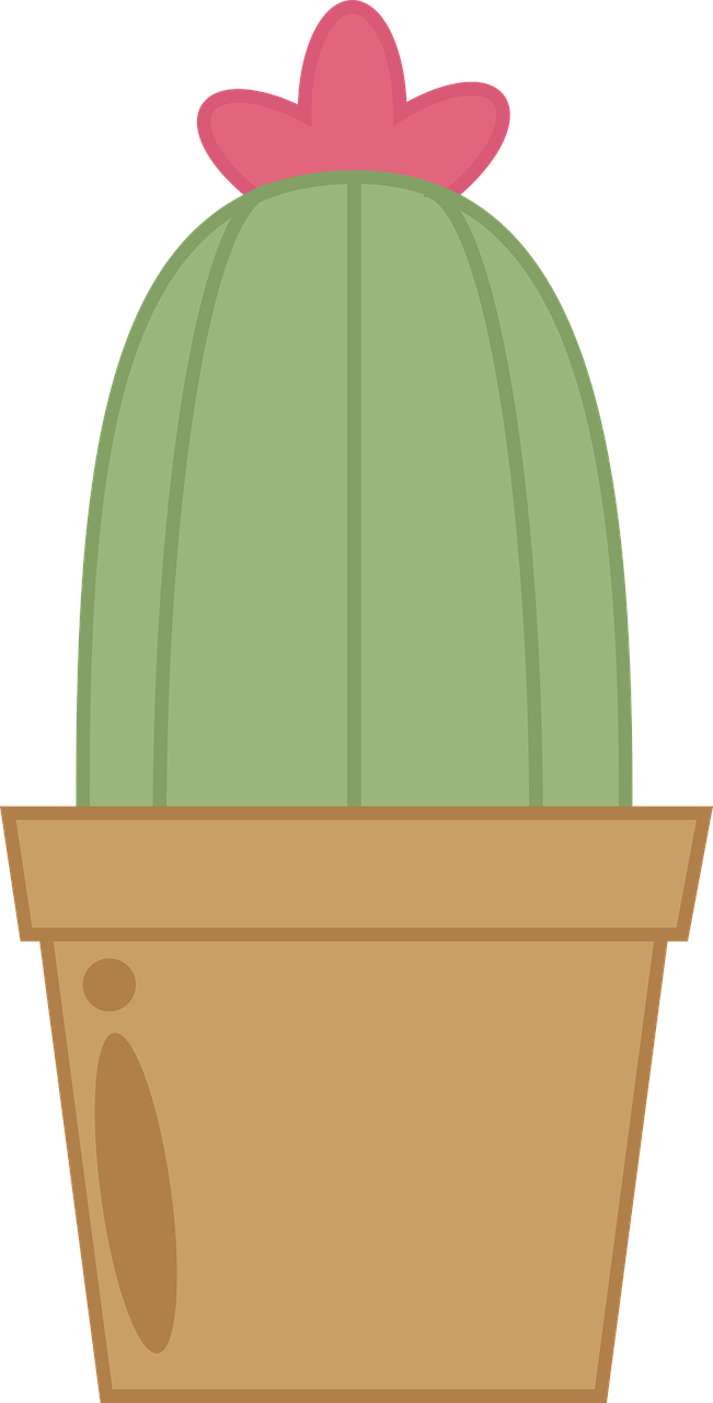 succulent clipart cactus bloom