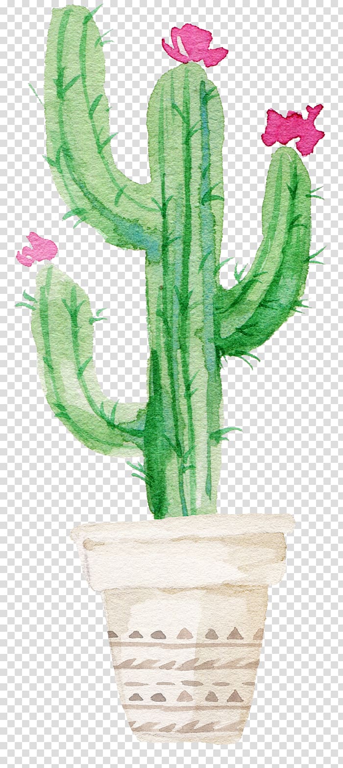 succulent clipart cactus bloom