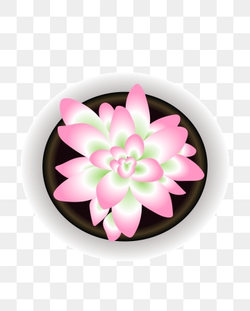 Watercolor png vector psd. Succulent clipart circle flower