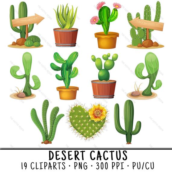 Cactus clip art desert. Succulent clipart cuctus