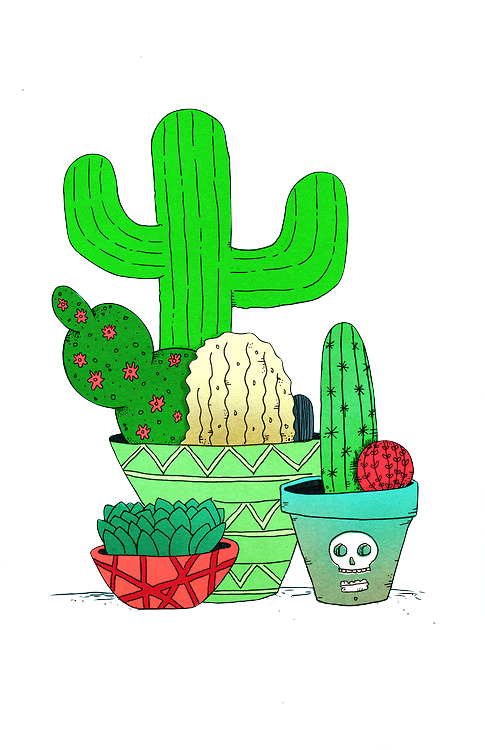 succulent clipart doodle