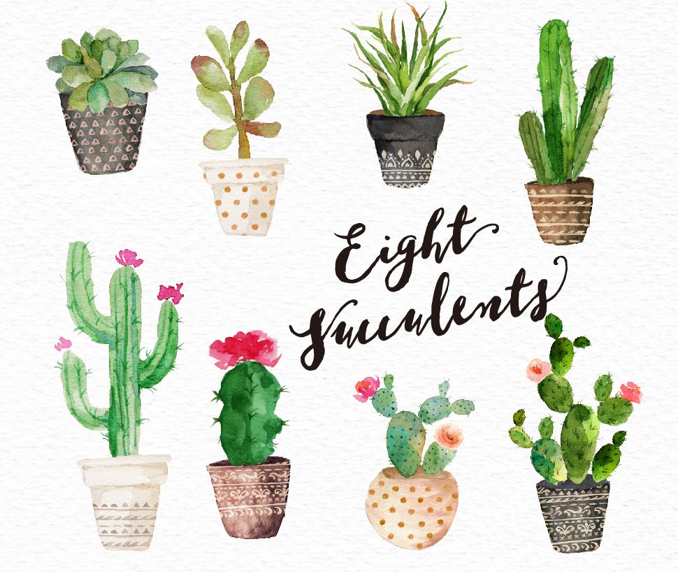 Succulent clipart easy watercolor. Pin by melissa kuiper