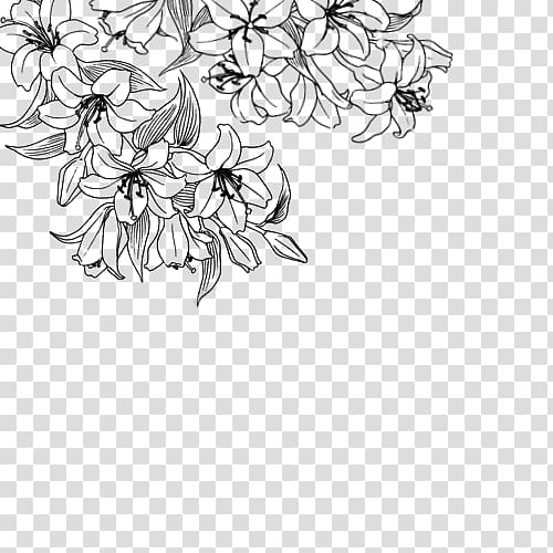 Succulent clipart floral border design. Flower desktop drawing white