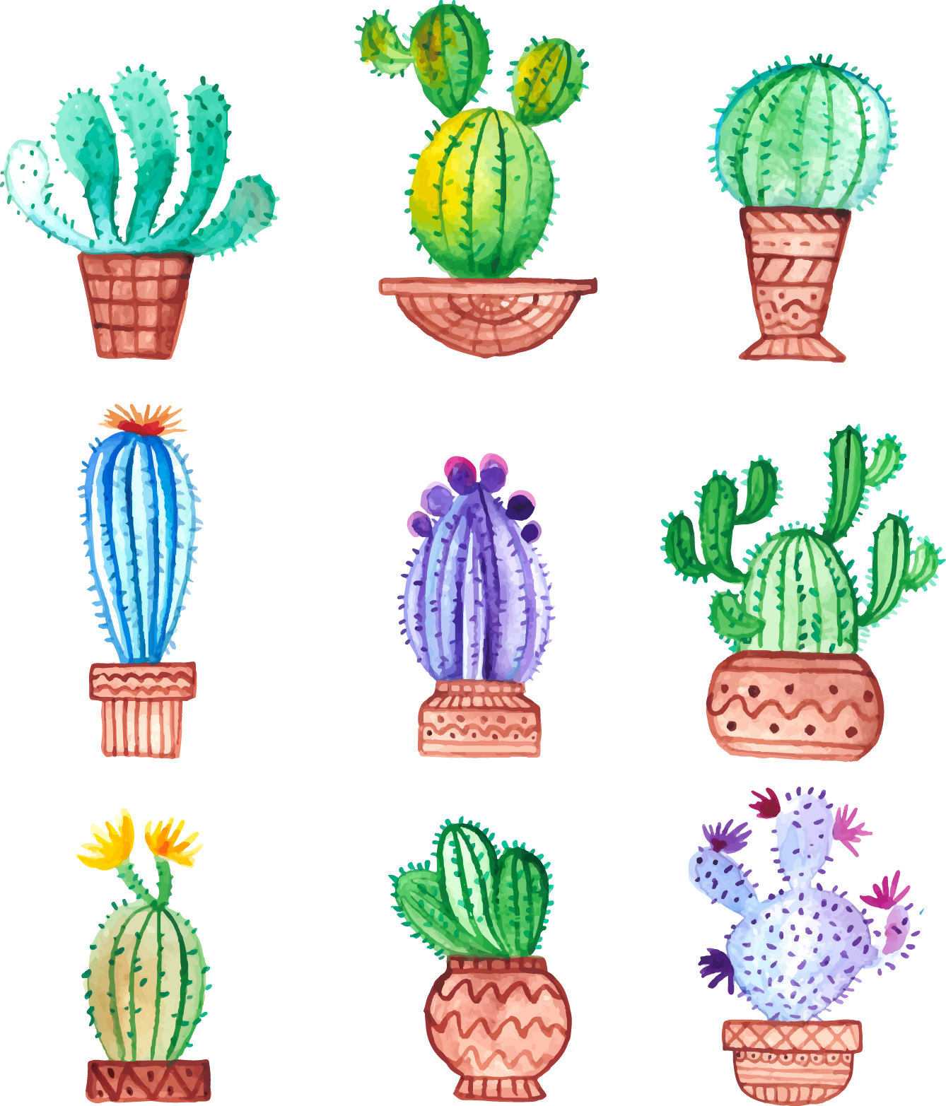 succulent clipart hand painted