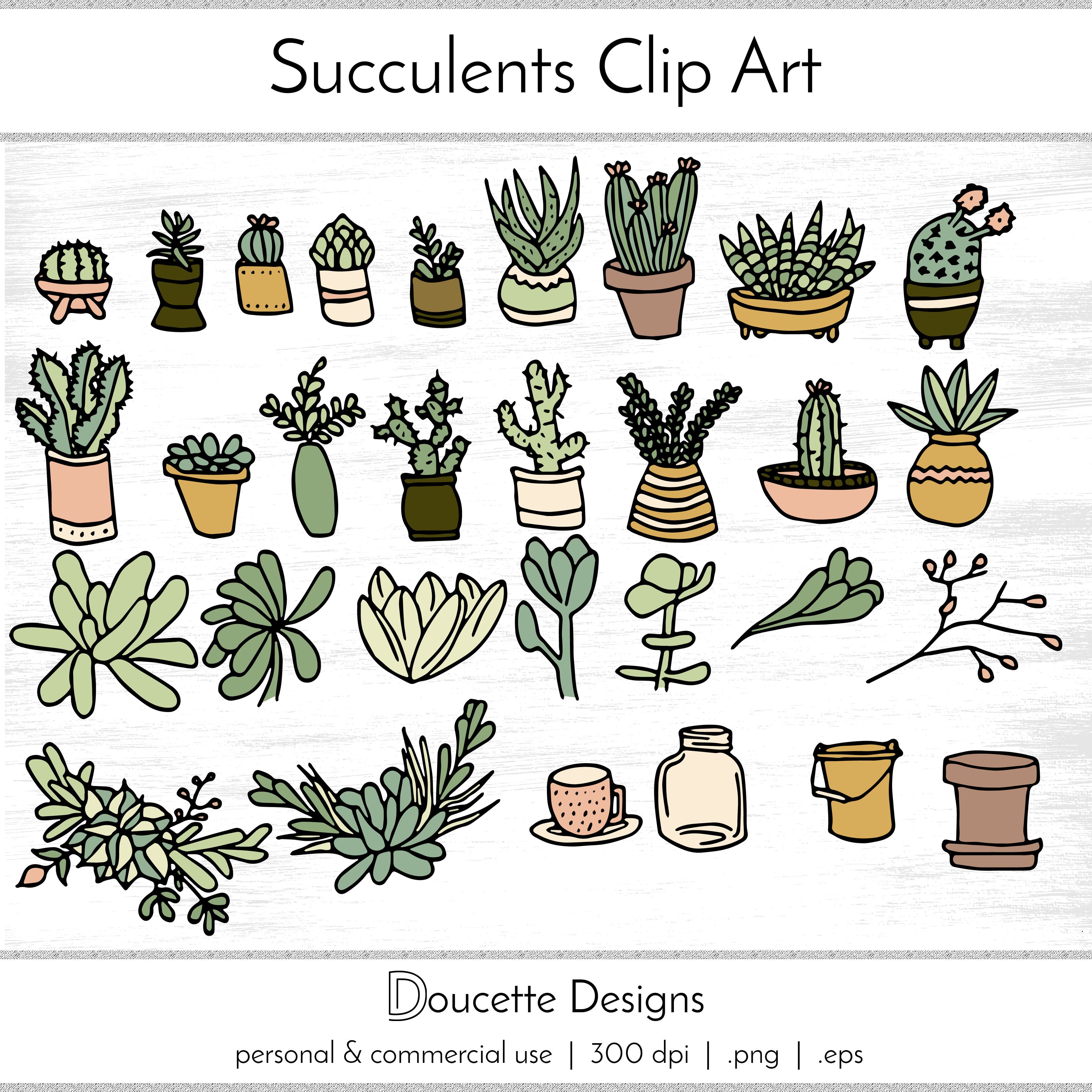 succulent clipart illustration