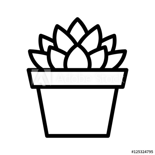 succulent clipart line drawing