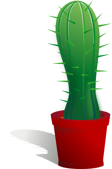Cactus png image free. Succulent clipart prickly